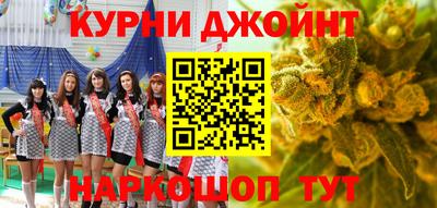дмт Бердск
