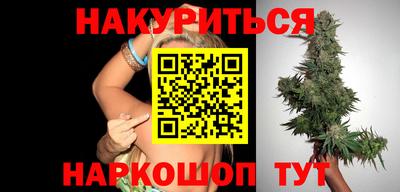 дмт Бердск