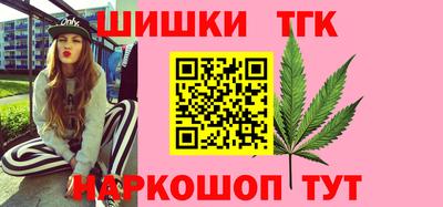 дмт Бердск