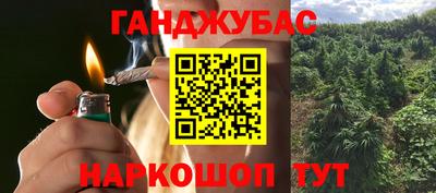 дмт Бердск